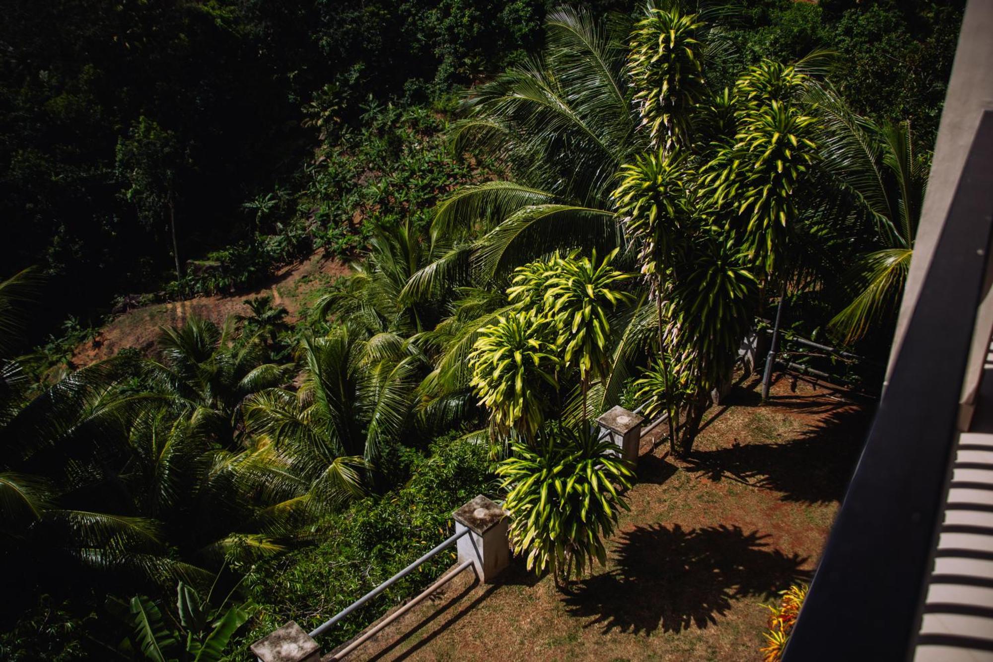 South Hill Villa Anse Royale Extérieur photo